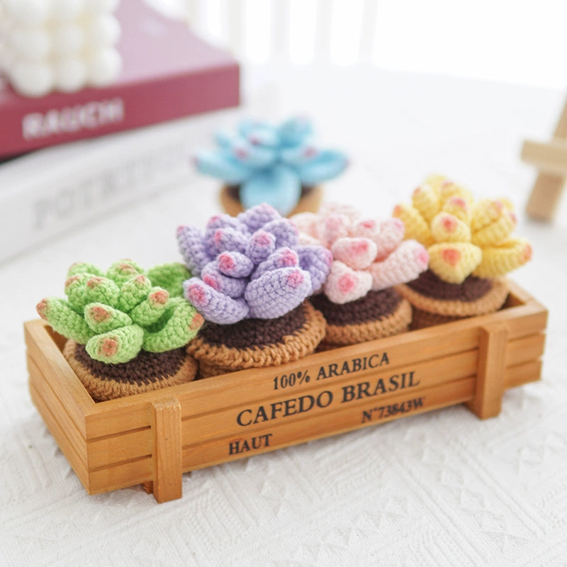 crochet succulent kit Handmade Crochet Colorful Succulent Potted Plant Green