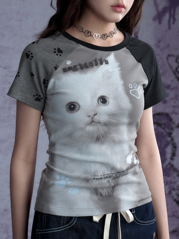 Gray Kitten Graphic Raglan Tee
