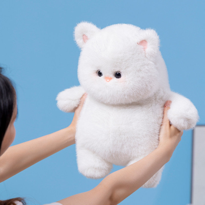 Soft Cat Plush Toy