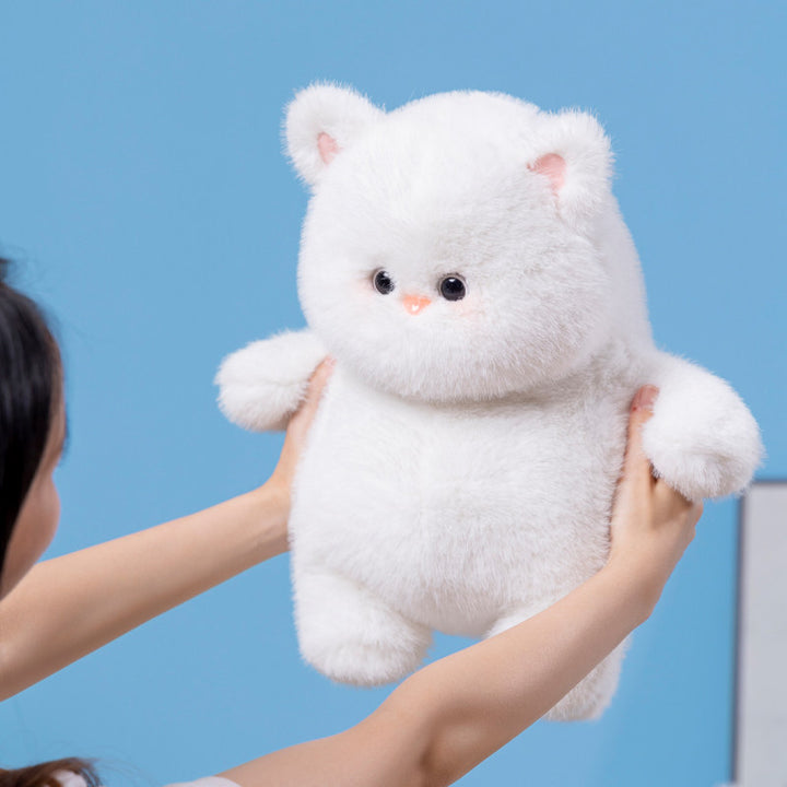 Soft Cat Plush Toy