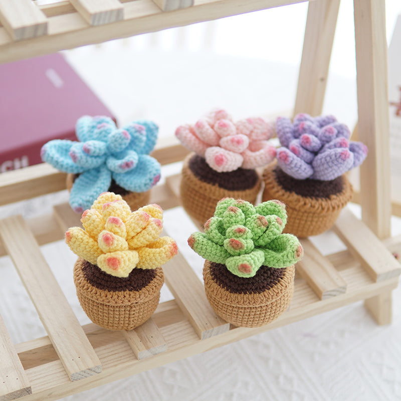 crochet succulent pot Handmade Crochet Colorful Succulent Potted Plant Green