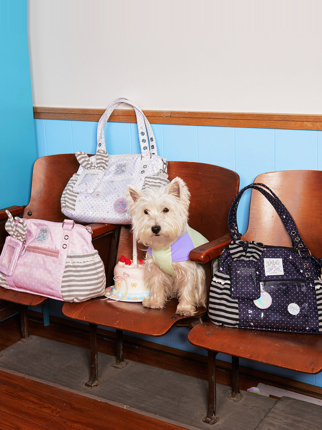 Ita Tote Bag with Clear Window and Striped Side Pockets