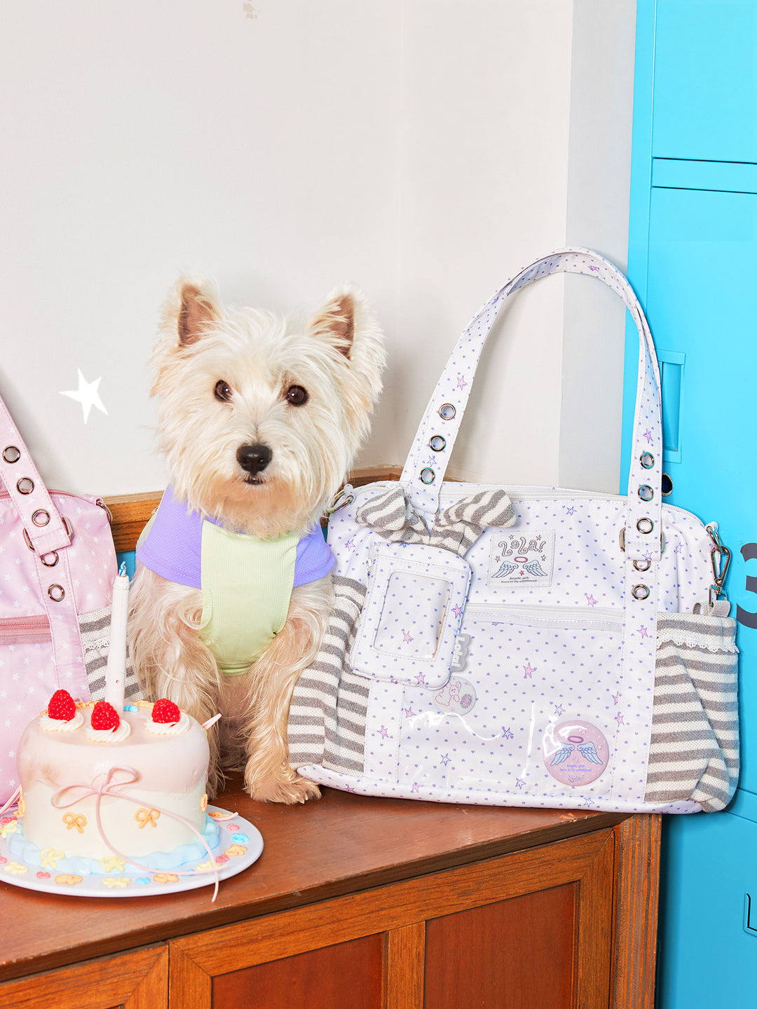 Ita Tote Bag with Clear Window and Striped Side Pockets