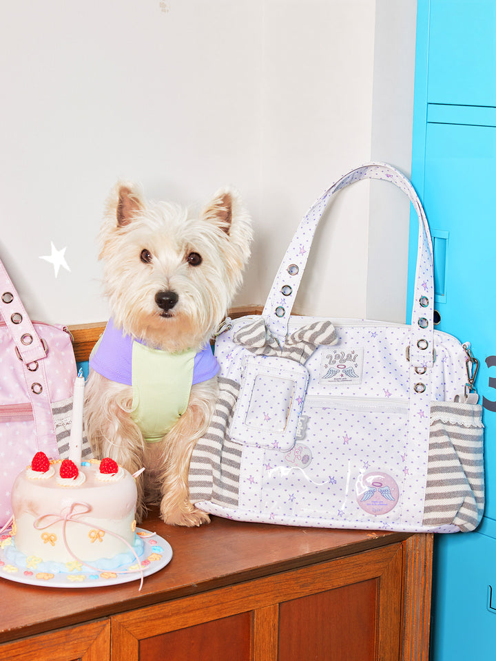 Ita Tote Bag with Clear Window and Striped Side Pockets