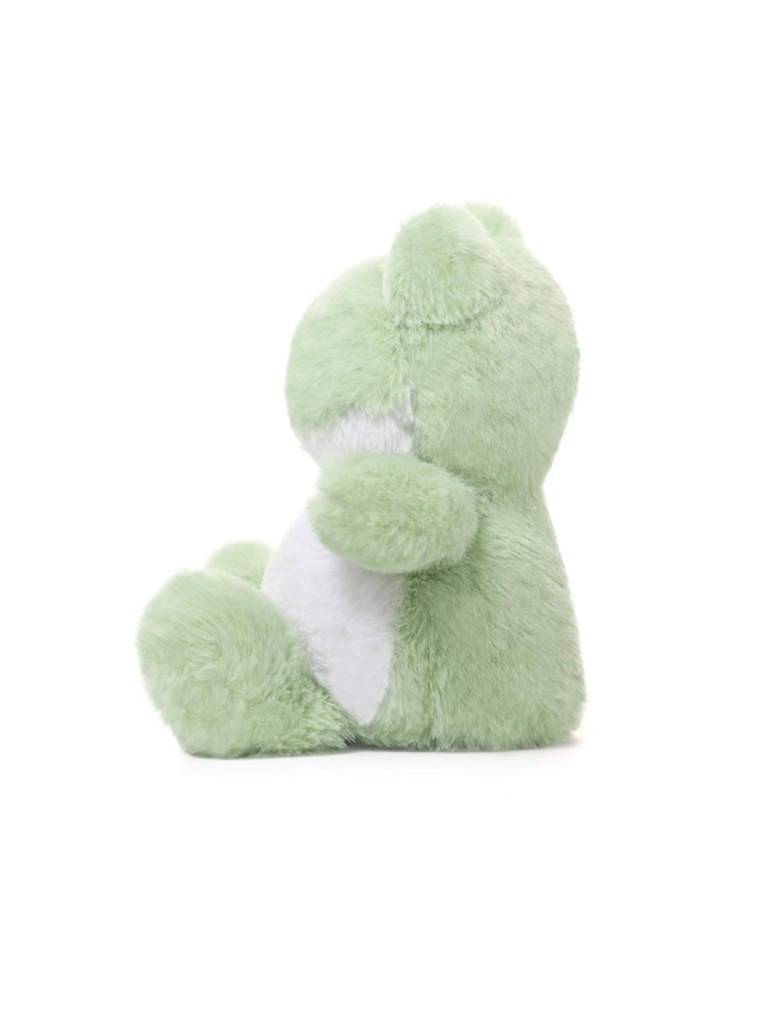 Green Frog Plush Toy