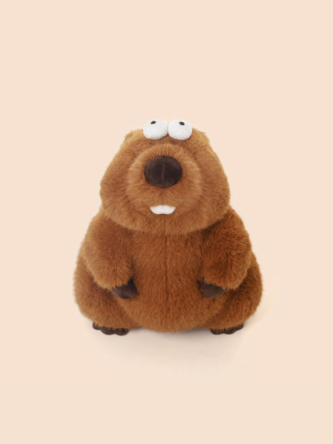 Goofy Groundhog Plush Toy