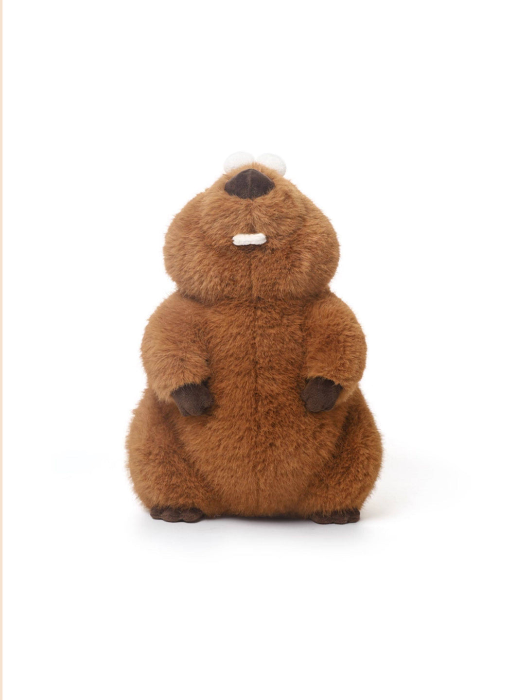 Goofy Groundhog Plush Toy