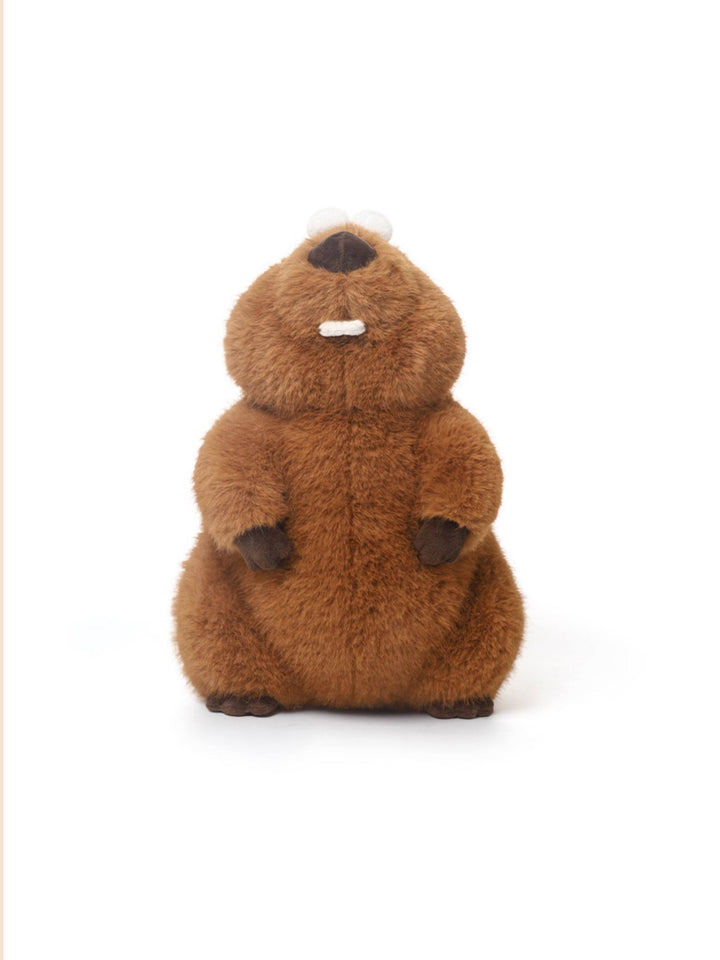 Goofy Groundhog Plush Toy