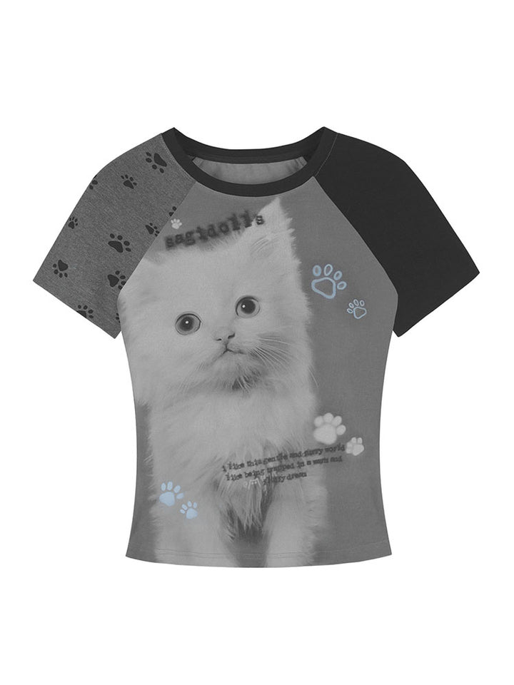 Gray Kitten Graphic Raglan Tee